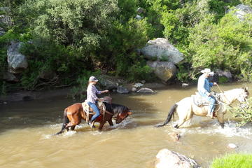Leisurely Half Day Trail Riding in San Miguel de Allende