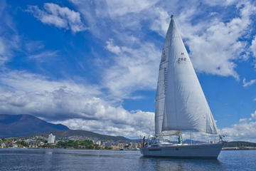 Half-Day Sailing on the Derwent River from Hobart