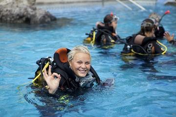 Scuba Diver Licence 2day Course