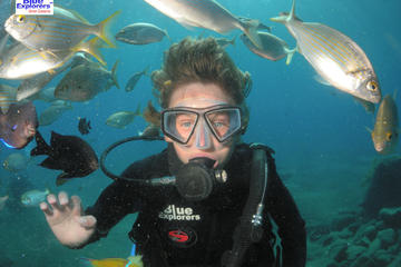 Snorkel and SCUBA Experience