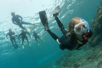 Snorkeling Day