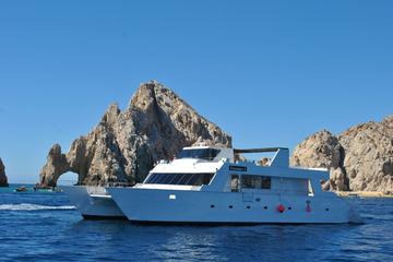 Los Cabos Reef Snorkeling Cruise