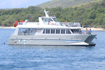 Dolphin and Snorkel Adventure from Lahaina to Lanai
