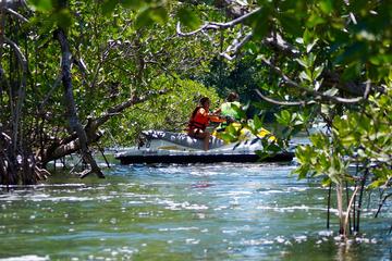 Jungle Tour Cancun