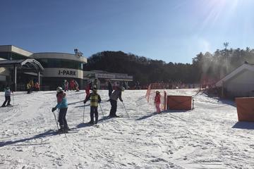 Full Day Ski Tour at Jisan Forest and Everland