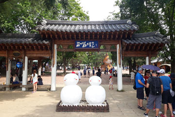 Nami island and Petitie France with Rail Bike Shuttle Bus Package