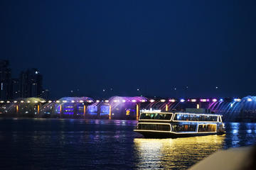 Seoul Ferry Evening Cruise and Lotte World Tower Observatory