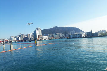 The most popular 16 places in Busan Full Package Tour from Seoul(2D1N)