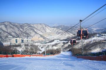 Vivaldi Park Ski Shuttle Bus Package