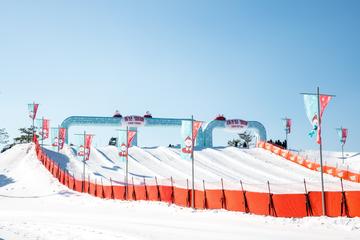 Vivaldi Park Snowyland and Nami Island One Day Tour