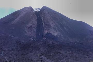 Pacaya Volcano Hiking Tour from Antigua