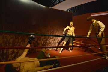 4-Hour Private Tour to Chinese Martial Art Museum including Taichi Class
