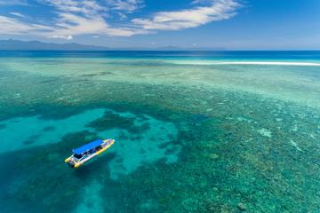 Ocean Safari Great Barrier Reef Experience in Cape Tribulation