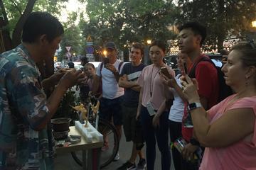Small Group Hutong Rickshaw,Houhai,Drum Tower,Hutong Courtyard Visit with Lunch