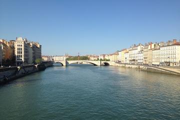 Lyon Panoramic City Tour in Minivan - Private Tours