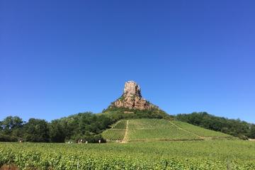 Macon & Beaujolais Crus Wine - From Lyon in small group tours