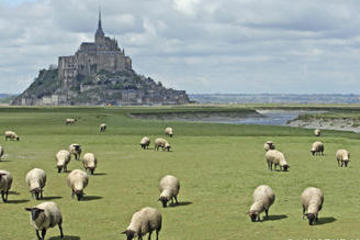 Delux Mont Saint-Michel Tour with a professional Japanese guide