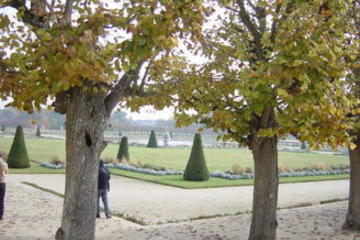 Fontainebleau and Barbizon Half-day Tour with Japanese Guide
