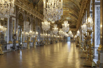 Half-Day Versailles Palace Guided Tour with/ without Japanese Guide