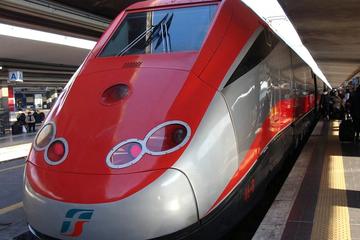 One day Florence and Pisa by Trenitalia from Rome with a Japanese Guide (including leaning tower entrance)