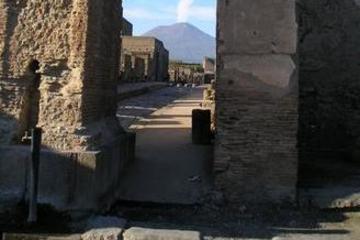 Pompeii and Winery Day Trip from Rome with Japanese Guide