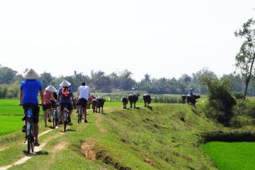 Bicycle tour around Hoi An (Private)