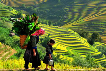 Discovering Sapa highland from Hanoi by train 4 nights 3 days_Join in tours