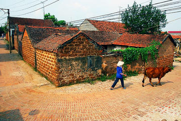 Excursion in Duong Lam Ancient Village (Private)