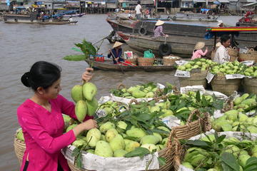 Mekong Excursion Cai Be Floating Market Full Day (Private)