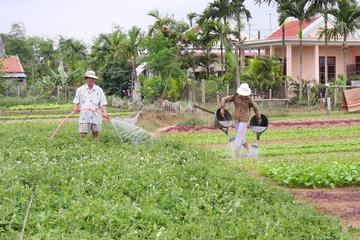 Tra Que Vegetable Village (SIC)