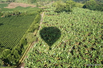 Hot Air Balloon Flight over the Colombian Coffee Region