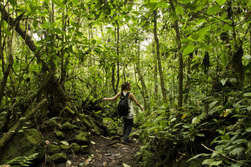 Transport and Entrance to Chicaque National Park