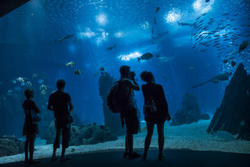 Belem, Oriente & Oceanarium