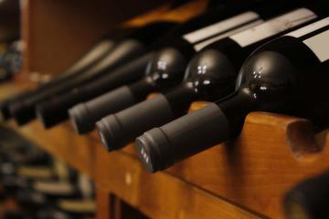 Winter ski tour: Wine tasting tour in Rhine region