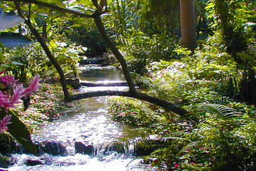 Private Tour From Ocho Rios To Konoko Falls And Garden and Shopping