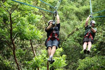Ixpanpajul Natural Park Zipline and Eco-Adventure Tour from Flores