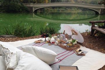 Ultimate Central Park Picnic Experience