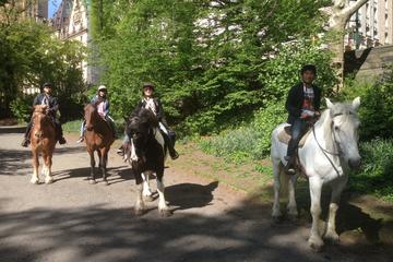 Horseback Riding in Central Park