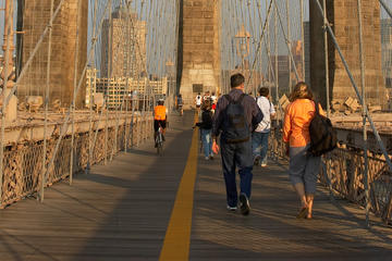 Private Brooklyn Bridge Guided Walking Tour