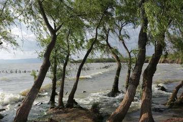 One day tour to eastern coast region of Daichi Lake