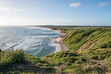 Phillip Island Hike, Bike and Wildlife Adventure