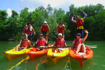 Pulau Ubin Mangrove Kayak Adventure from Singapore