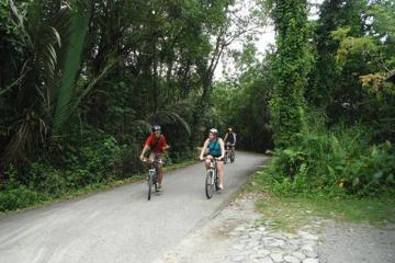 Singapore Bike Adventure around Pulau Ubin