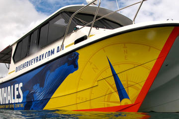Reef and Beach Day Cruise from Hervey Bay