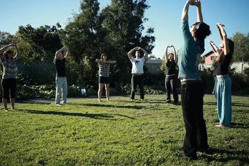 Private Chinese Qi Gong Workshop