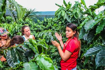Coffee and Chocolate Private Tour