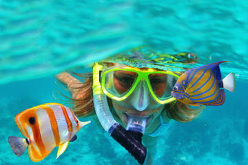 CENOTES DISCOVERY FROM PLAYA DEL CARMEN