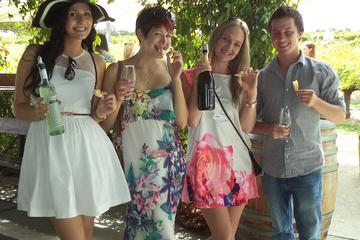 Half-Day Swan Valley Wine, Cheese and Chocolate Tasting Tour Including Afternoon River Cruise from Perth
