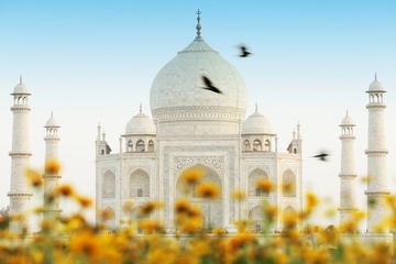08 Days Golden Triangle with Mumbai Heritage Trails