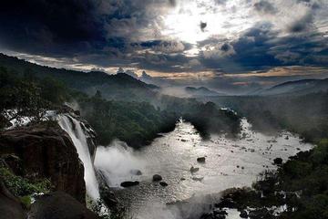 Athirappilly Falls and Vazhachal Falls Private Tour from Kochi